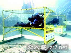 �����һ������ˮ������10���Ƽ�¼(��ͼ)