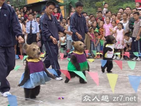 ��ͼ�����춯���˶�����С�ܾ������ɾ���