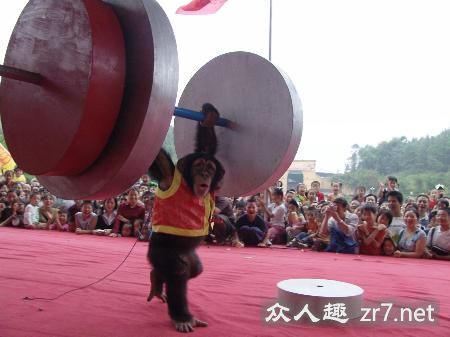 ��ͼ�����춯���˶�����С�ܾ������ɾ���