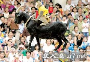 ͼ�ģ���ɽ�򱳺����߸�˿������ʮ����δʧ��