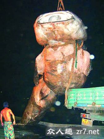 宁波渔民捕获一条上万公斤重巨鲨(组图)